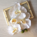 ✴︎定番作品✴︎胡蝶蘭5点セット◆つぼみ、五分咲きつき 結婚式や成人式に