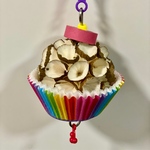 SOLAカップケーキ