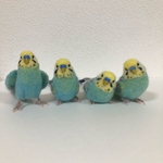 ※専用ページです※pipi0504様ご依頼、ミニセキセイインコちゃんです♪羊毛フェルト