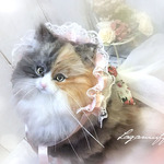 ラガマフィン　猫　長毛　しっぽ可動　羊毛フェルト