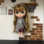 【カメラ型バッグ  赤×黒】ネオブライスサイズ