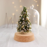  Botanical glassdome  Tree №23
