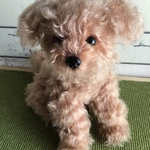 ※yuupoporuuさまオーダー  トイプードルのぬいぐるみ