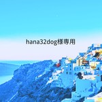 hana32dog様専用