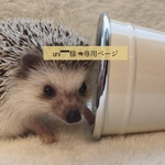 uni***様専用