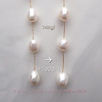 チェーン変更 ＋1000円