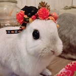 【再販】うさぎのハロウィンの冠