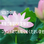 【あと１つ】【14kgf】ちょっと小さめ【魅惑のラブラドライト、強運へ導く】ブラックラブラドライトとラピスラズリのリング