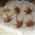 もみじショート❣️選択ゴールド加工❣️ハーバリウム花材プリザーブドフラワー