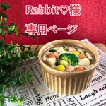 【Rabbit♡様専用】野菜たっぷり！あったかクリームシチュー