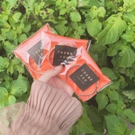 専用ページ