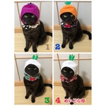 和柄、唐草模様シュシュ、猫ちゃんの首輪