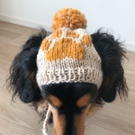 【19AW#3】犬用ニット帽
