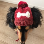 【19AW#9】犬用ニット帽