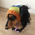 【19AW#12】犬用ニット帽