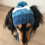 【19AW#14】犬用ニット帽