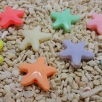 ヒトデのアクリルビーズ（８色×３セット）24個
