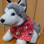 ＱTバンダナ(わくわくシリーズ:柴犬赤)