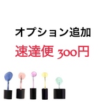 オプション 速達便 300円