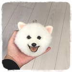 ポメラニアン