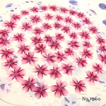♡new♡作家様必見♡ 人気のバーベナがいっぱい♡ 押し花セット