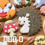 お楽しみBOX B