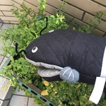 ナマズの逆襲