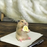 ペーパーウェイト・食いしん坊ハムスター