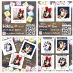 【片面】1〜2匹用/ペット名刺/正方形