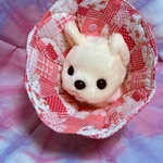 【受注製作】花型エリザベスカラー