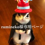 rumineko様専用ページ
