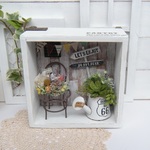多肉植物アレンジ＊ミニチュアBOXガーデン