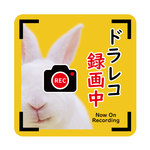 うさぎデザイン　ドラレコ録画中（ドライブレコーダー録画中） ステッカー