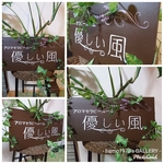 ~1974yuko様☺️ご購入ページ