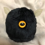 黒い野生の大きなほこり虫①