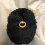 黒い野生の大きなほこり虫③