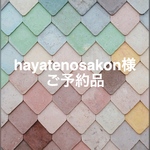 《hayatenosakon様ご予約品》