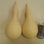 乾燥ひょうたんＡセット②23㎝と22㎝