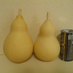 乾燥ひょうたんＡセット⑥16㎝と14㎝