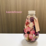 ハーバリウム コスモス雫