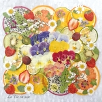 ★限定品★押しフルーツと押し花／191003①