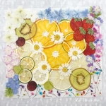 ★限定品★押しフルーツと押し花／191003②