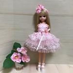 リカちゃんミニドレス ピンク×白