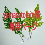 yamasatomin様専用ページ