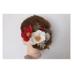 shi_1118_ho様 オーダー専用ページ