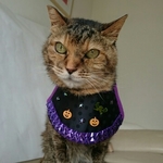キラキラハロウィンドレス