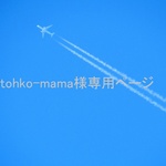 tohko-mama様専用ページ