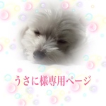 こちらは専用ページとなります