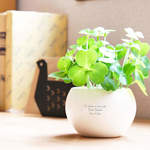 【名入れ】お手入れ簡単な造花の観葉植物 CT触媒グリーン クローバー