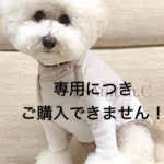 bea love様専用です！